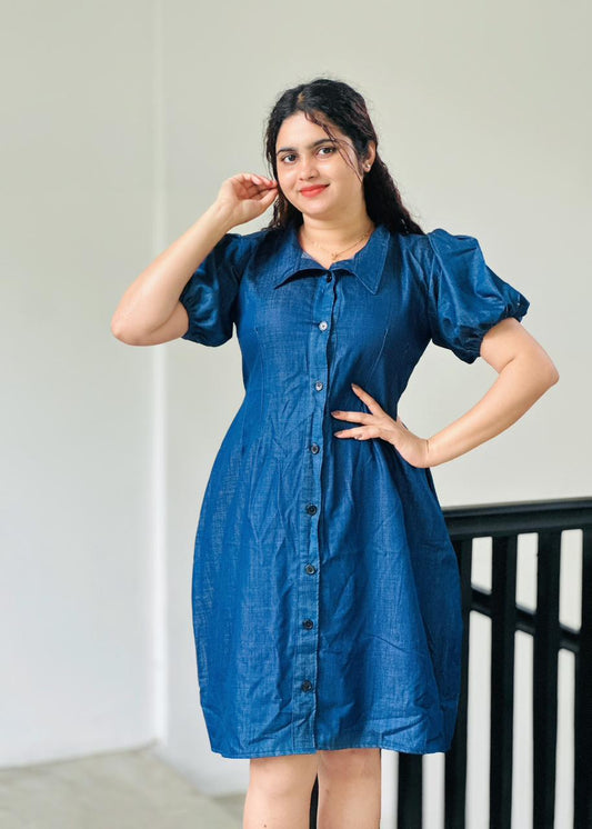 Charm Button-Down Shirt Dress